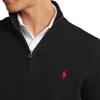 Polo Ralph Lauren SS23 Stampa Logo Ricamato Pullover Mezza Zip Manica Lunga Felpa Uomo felpa Nero 710859939003-003