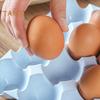 Storing Egg Storage Box Stackable Well Protect Durable 24 Grids Kitchen Fridge Egg Organizer Box Household Supplies