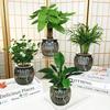 Nordic Style Water-Absorbing Flowerpot Transparent Automatic Watering Planter  Garden Decor