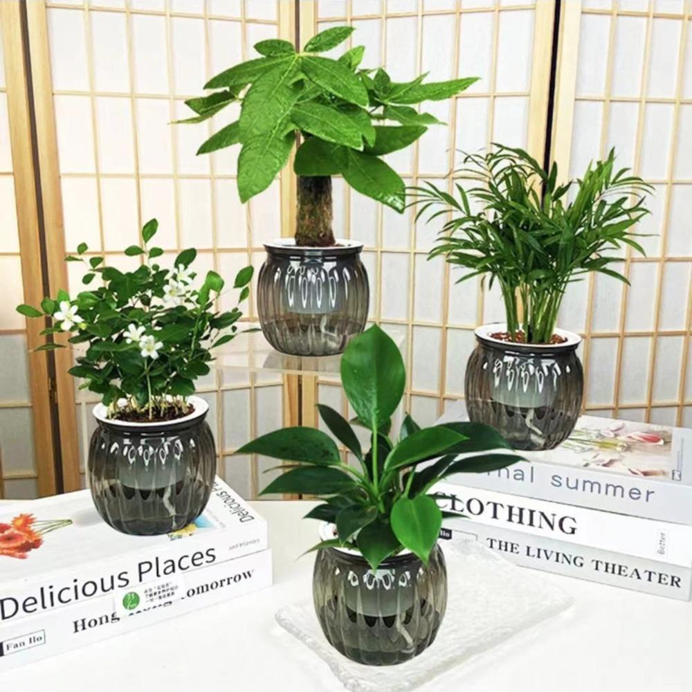 Nordic Style Water-Absorbing Flowerpot Transparent Automatic Watering Planter Garden Decor