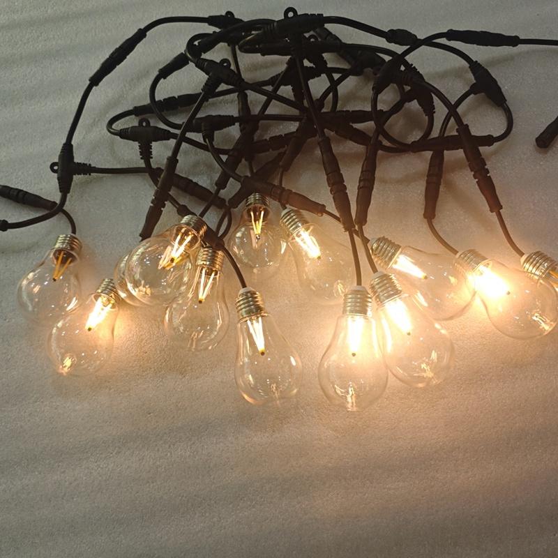 DMX Control 60mm LED Edison Bulb E27 Retro Lamp 24V Warm White Dimmable Lighting