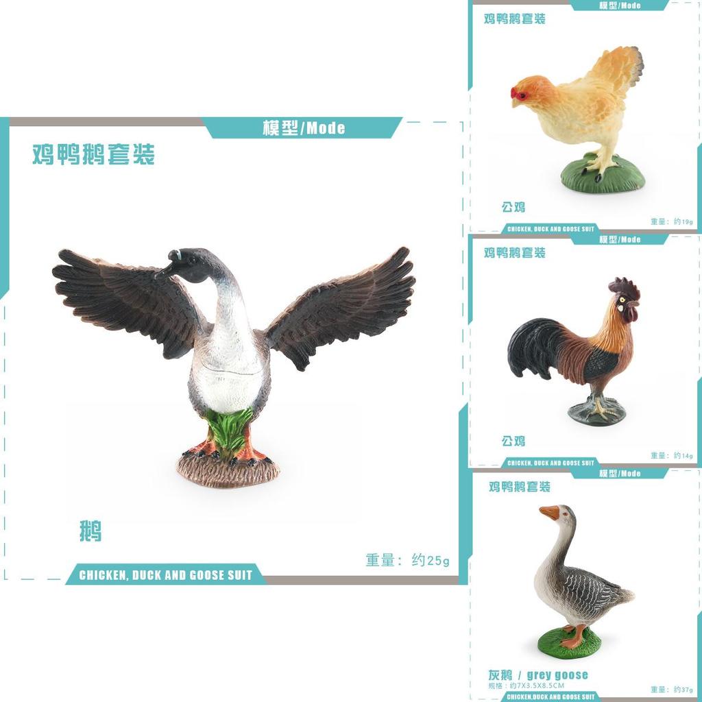 Farm Animal Chicken Duck Goose Model Set For Kids Education And Home Decor With Pvc Realistic Bird Figures