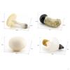 4 Piece Mushroom Model Decoration Figures for Nursery Storytelling Toddlers Unisex