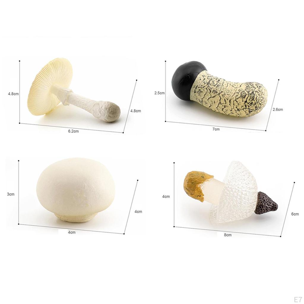 4 Piece Mushroom Model Decoration Figures for Nursery Storytelling Toddlers Unisex