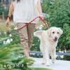 Petio Basic Plus Rhombus Lead Blue for Medium Size M Dogs,