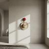 Round Head Suction Cup Hooks Non-Marking Kitchen Storage Hooks Wall Towel Hooks  Bathroom