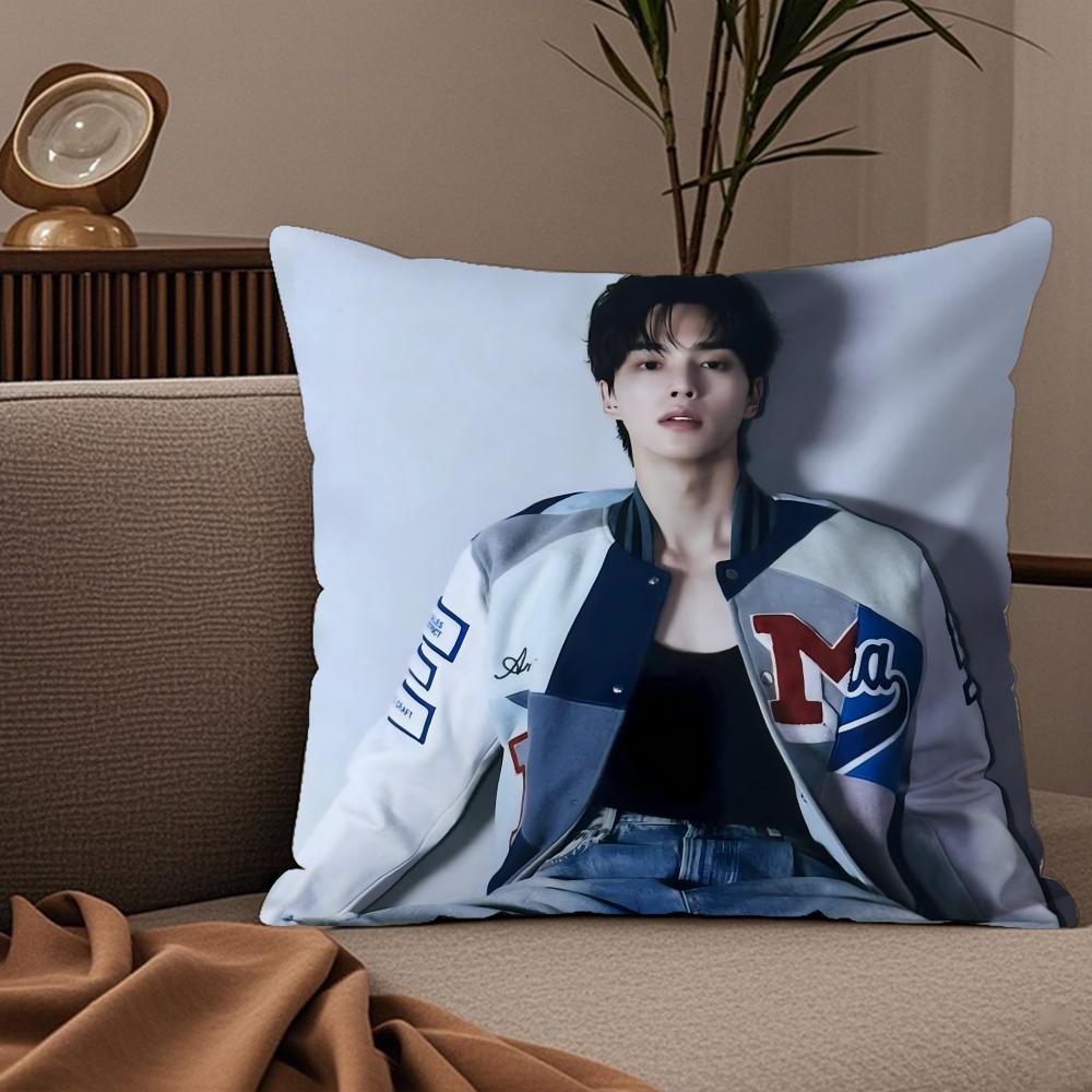 Korean SSong KKang Pillow Case Silky elegant Comfort Sofa Bed Invisible zipper 30X30cm