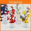 Plum Blossom Artificial Botanical Potted Plant For Wedding Decoration Bedroom