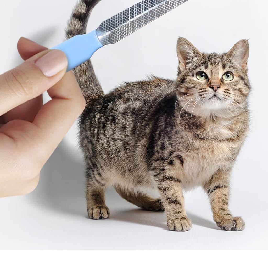 & Dog Nail File for Quiet, Gentle, & Smoothing – Gentle, & Dog Grooming Supplies for Home Use