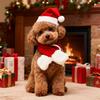 Cat Dog Christmas Costume Santa Hat With Scarf &Small Dogs - Funny Santa Hat And Scarf Outfit For Holiday Photos