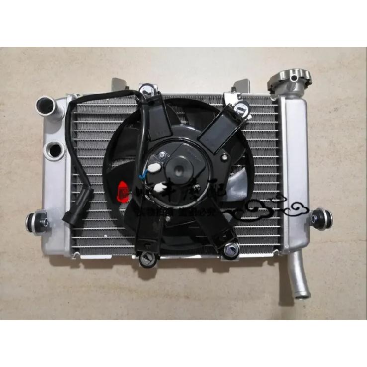 Radiator water cooling system water cooler of Benelli TNT250 BJ 250-15 15A 15E Benelli water tank