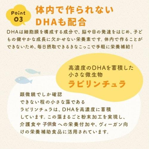 D'sTs Kinakokko (Kinako) for Children, Iron, Calcium, and Zinc. Supervised by a Registered Dietitian. Contains soybean flour, zinc, and protein. [Serv
