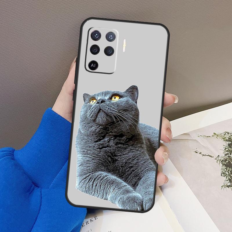 British Shorthair Cat Case For Oppo A78 A38 A18 A98 A58 A60 A80 A40 A96 A76 A16 A94 A74 A54 A15 A17 A57 A77 A5 Pro