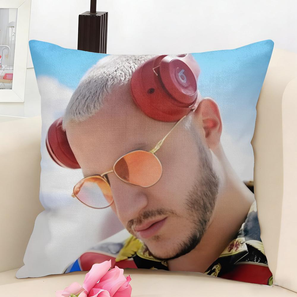 Cool DJ SSnake Cushion Cover Natural Linen Organic Fabric DoubleSided Printing Couch Pillow Covers Home Decor