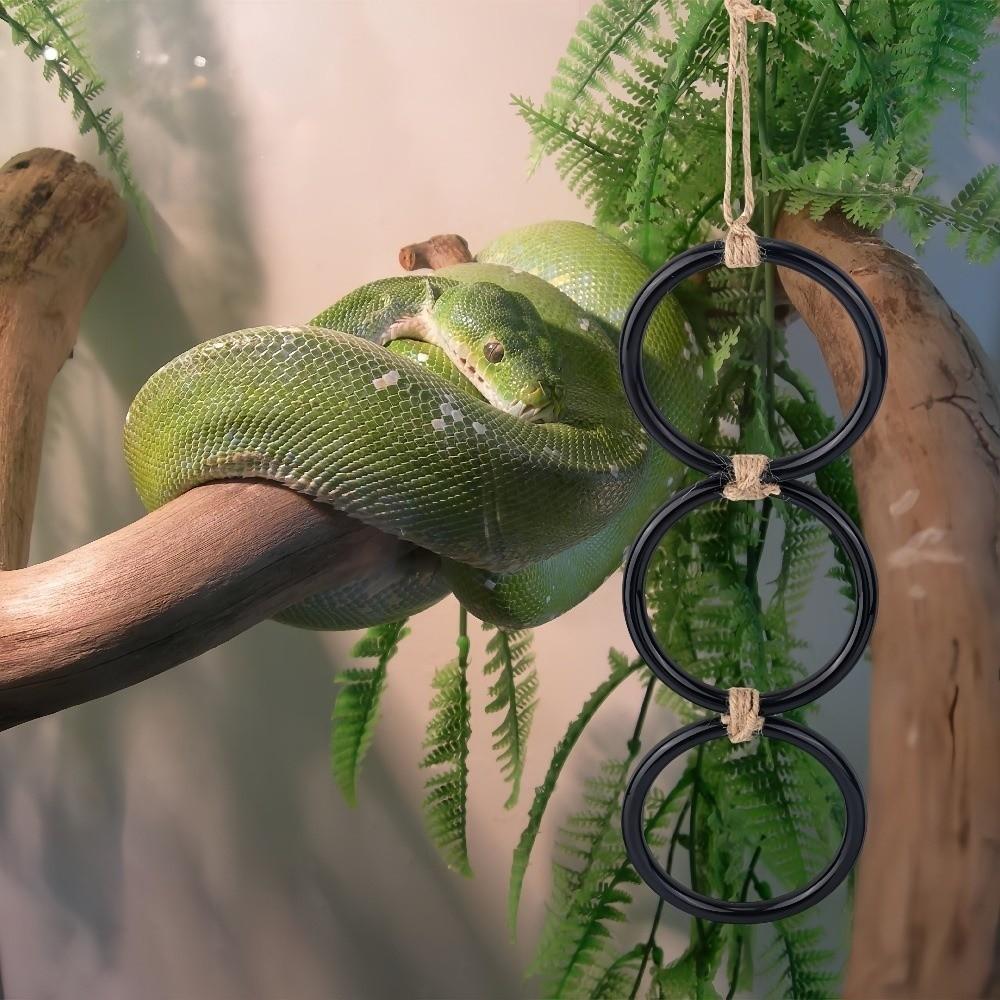 Enrichment Toy Reptile Climbing Toy Acrylic Gecko Climbing Rings  Pet Terrarium
