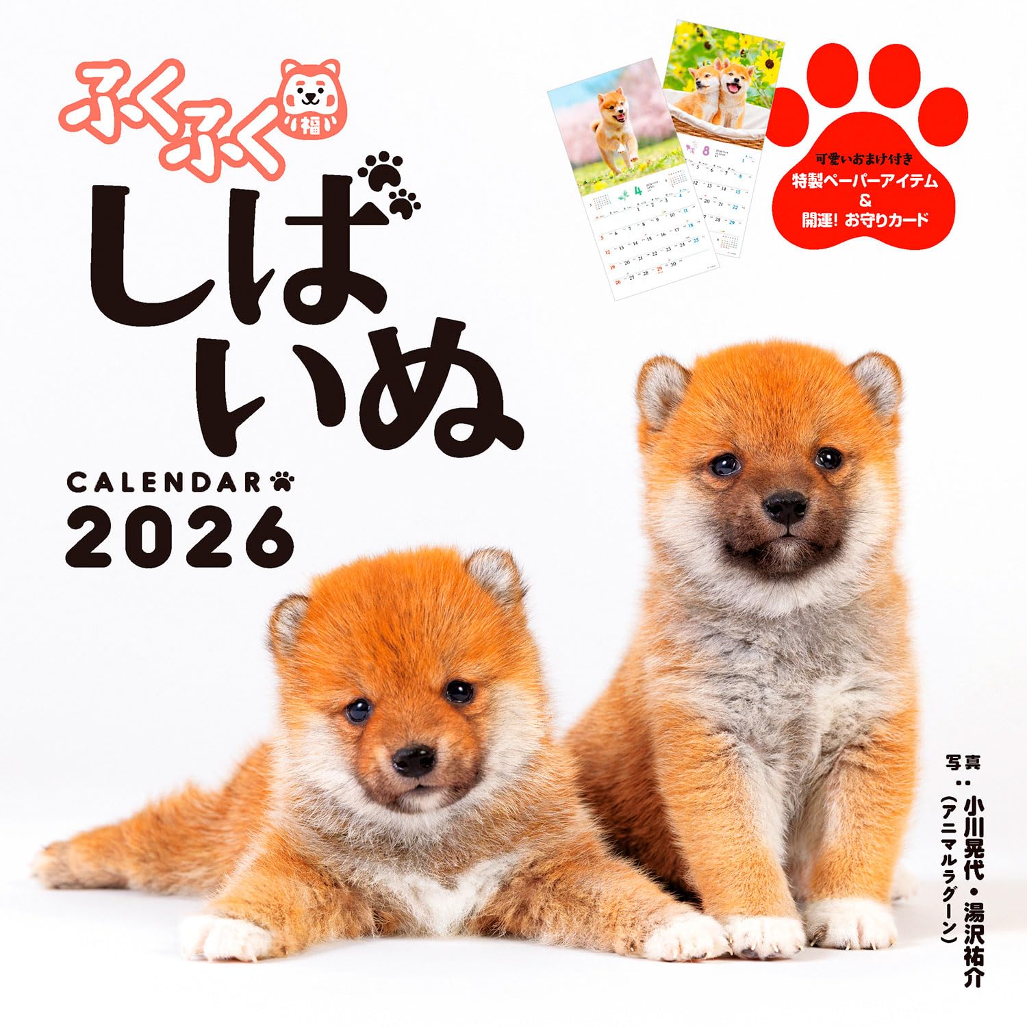 

bonus 2026 Fukufuku Shiba Inu Calendar x Shiba Inu Paper Calendar [Purchaser-only included] (Monthly/Wall-hanging/420mm 210mm) (Includes Cute Item )
