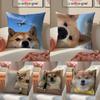 Cute Shiba Inu Meme Emoticons Pillow Case Double-Sided Printing Short Plush Sofa Cushion Cover Bedroom Bedside Pillow