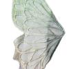 Butterfly Lace Embroidered Corsage Mesh Underwear with Flutter Sleeves