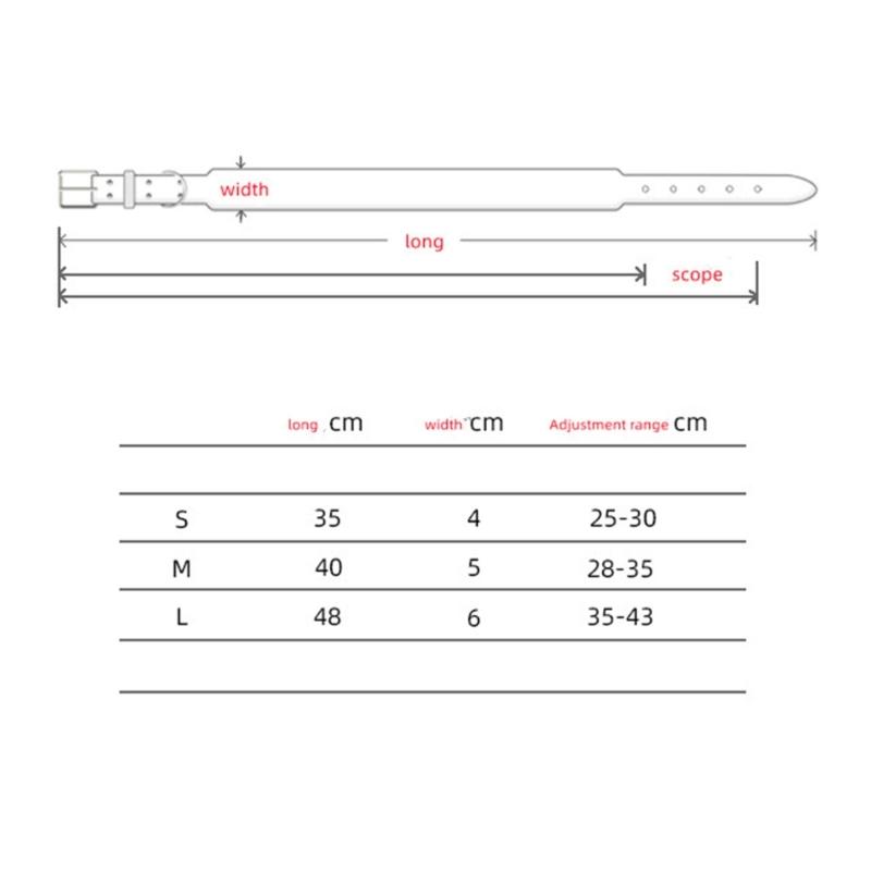 Breites, gepolstertes Hundehalsband aus echtem Leder – Welpenhalsbänder für Lurcher und Italienische Windhunde – Komfortables Hundezubehör