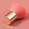 REGENBOOG - Blush Brush