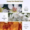 Shampoo Dove Volume & Cleanse