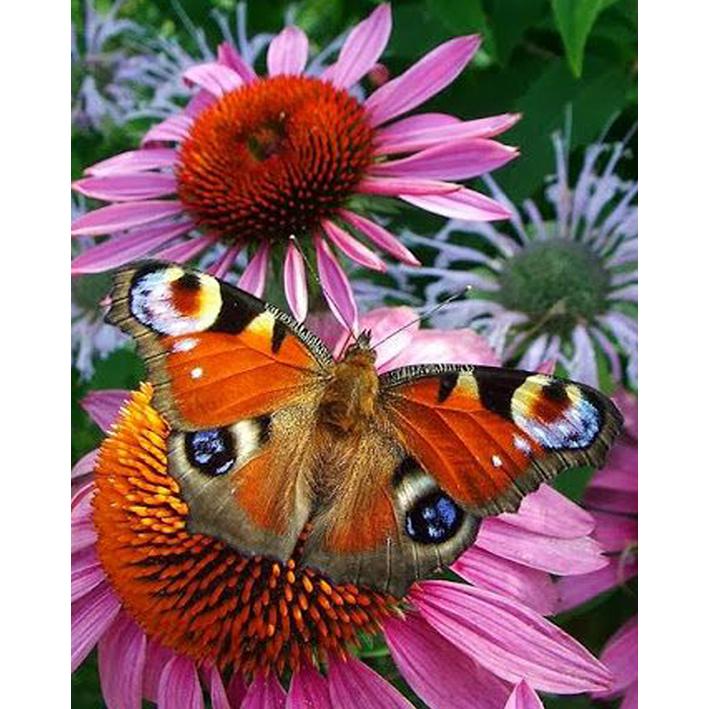 

Алмазная картина, полная круглая дрель, вышивка крестиком, Алмазная вышивка, распродажа, Новое поступление, мозаика со стразами, домашний декор, набор для рукоделия 50x70CM