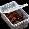 Reptile Frogs Snakes Breeding Cage Transparent Clear Amphibian Terrapin Breeding Box Living House For Lizard Spider Gecko