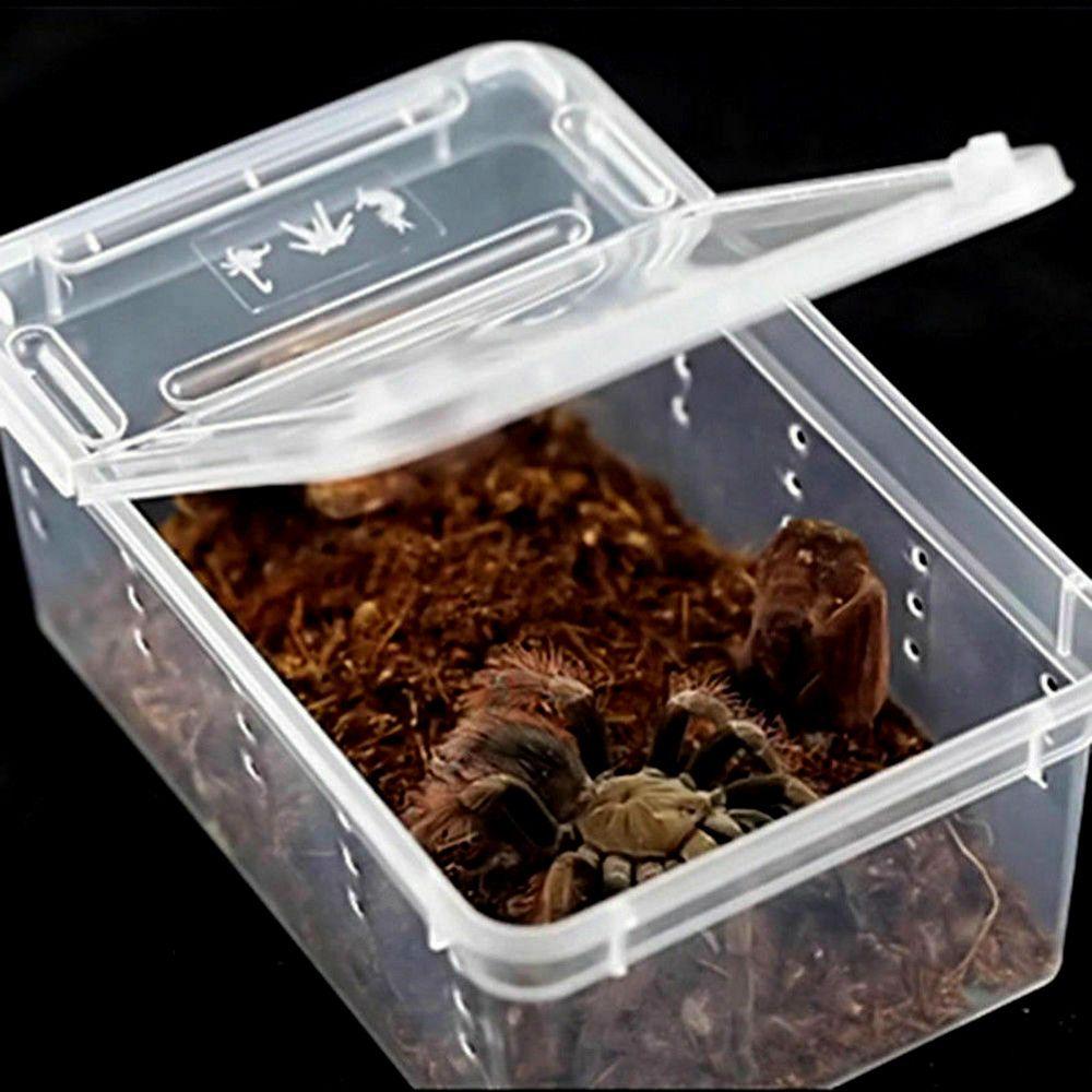 Reptile Frogs Snakes Breeding Cage Transparent Clear Amphibian Terrapin Breeding Box Living House For Lizard Spider Gecko