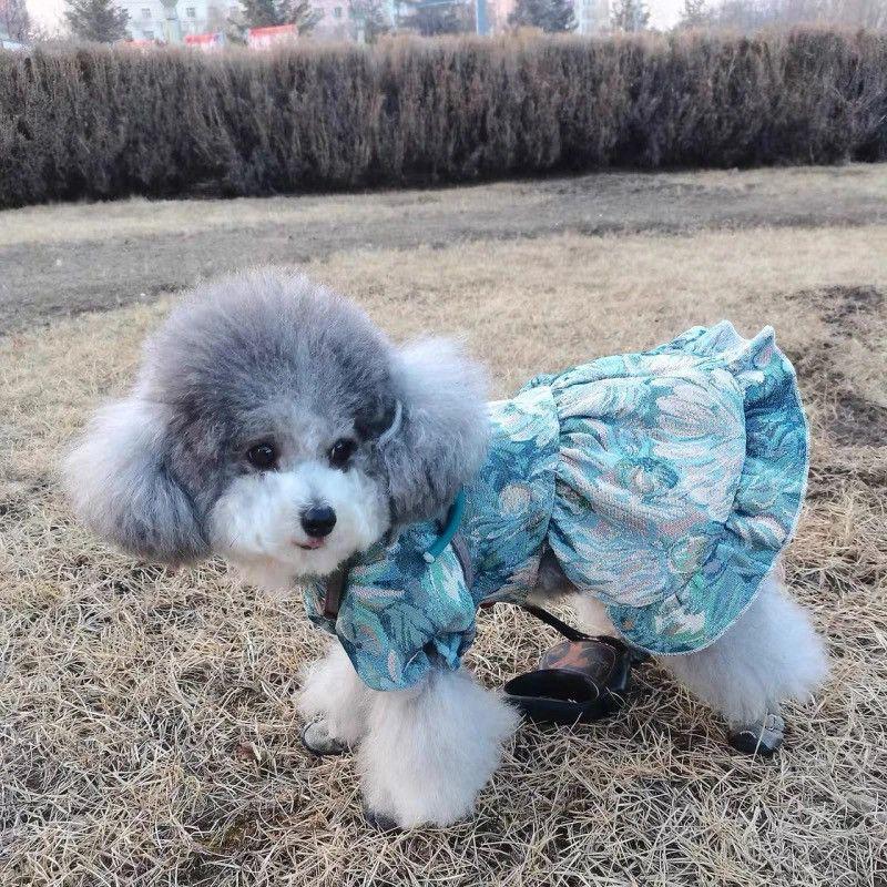 

Oil painting little princess pet clothes teddy autumn dress skirt medium and large dog puppet cat dress princess dog skirt XL Chest 50 Back 40 About 14-8.5 kg