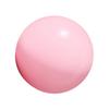 25cm 10Inch Pilates Ball Small Exercise Ball Mini Yoga Ball Gym Ball for Home Gym Pilates Yoga Balance Core Training