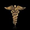 Double Snake Entwined Light Luxury Exquisite Accessories Angel Snake Wings Fashion Brooch
