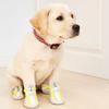 Set da 4 Pezzi Scarpe Traspiranti in Rete per Cani Antiscivolo Protettive Scarpe per Cani Domestici Resistenti all'Usura con Cerniera Copriscarpe in Rete per Animali Domestici