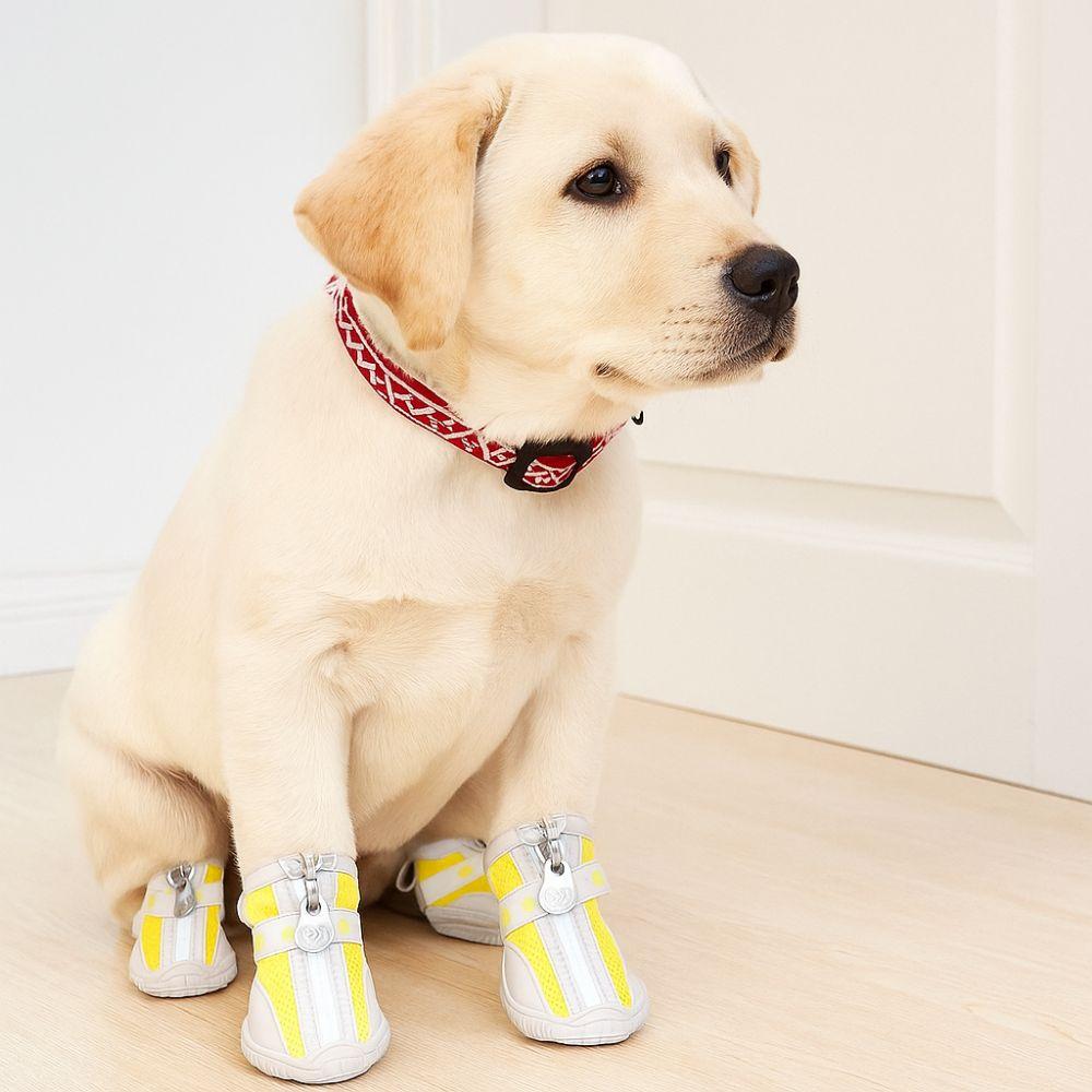 Set da 4 Pezzi Scarpe Traspiranti in Rete per Cani Antiscivolo Protettive Scarpe per Cani Domestici Resistenti all'Usura con Cerniera Copriscarpe in Rete per Animali Domestici