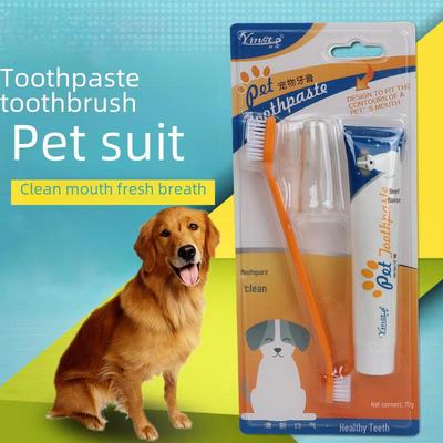 Haustier Zahnbürsten- & Zahnpasta-Set für Katzen und Hunde - Mundpflegezubehör