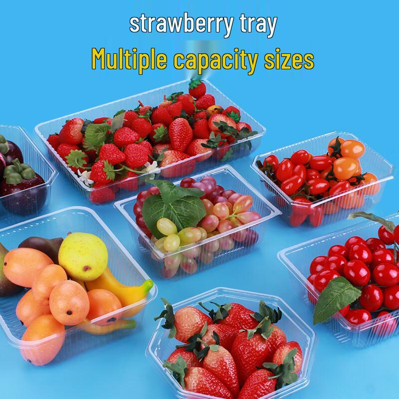 Sairkeyou Disposable Transparent Strawberry Packaging