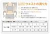 Sixpad Shape Suit EX, Size S (for Abdominal Area), Waist 58-64cm X Hips 82-90cm, MTG [Genuine Manufacturer Product]