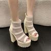 Fashion Shoes 2025 Sandals Block Heels All-Match Suit Female Beige Lace Denim Women's Open Toe New Boot Chunky Black High Summer Peep