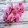 1Pc 6Heads Artificial Butterfly Orchid Silk Flower Home Wedding Party Decor