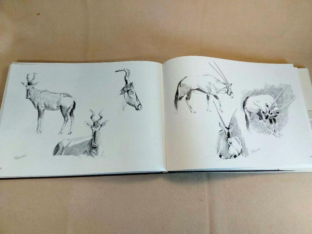 [USED] AFRICAN IMPRESSIONS: A detailed collection of sketches of African animals, landscapes, and customs