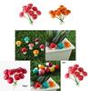 Vibrant Mini Colorful Mushroom Ornaments For Enchanting Dollhouse Garden Decor