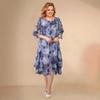 Women's Plus Size Floral Print Mesh Sleeve Dress