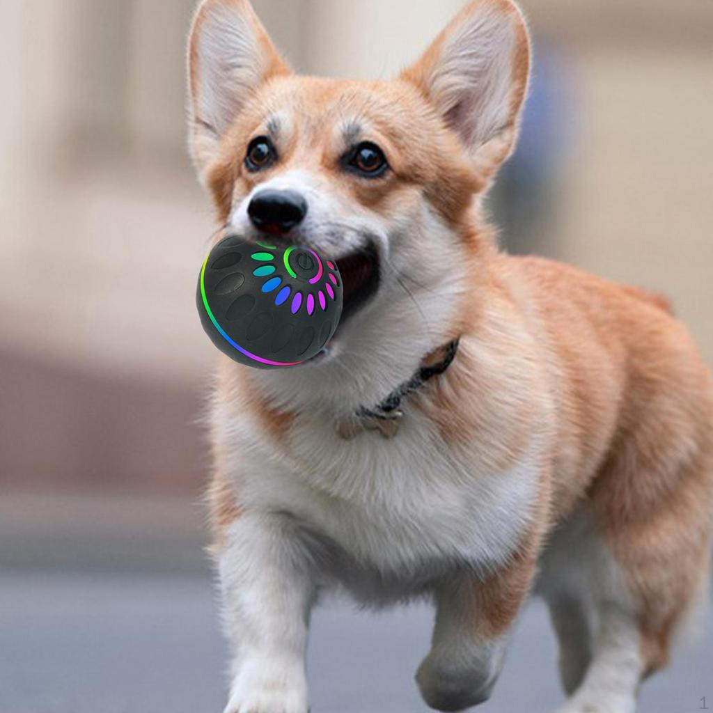 Interactive Dog Ball Toy Moving Ball, USB Rechargeable with Colorful Light Pet Automatic Rolling