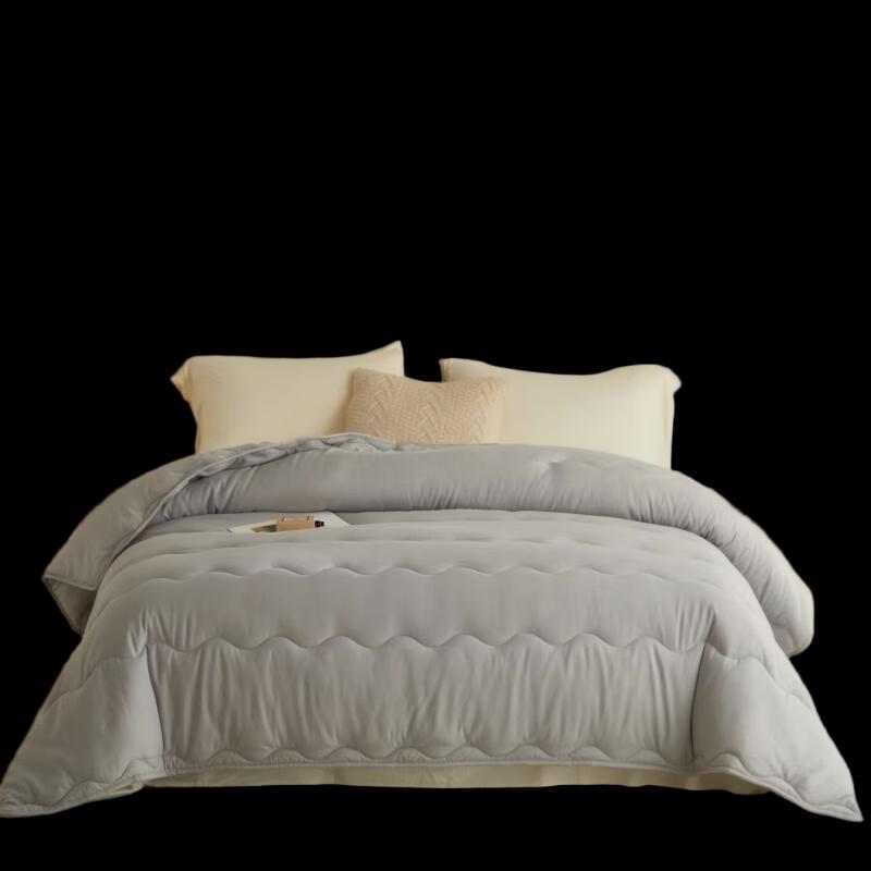 Hongdou Brushed Fleece Warm Winter Quilt