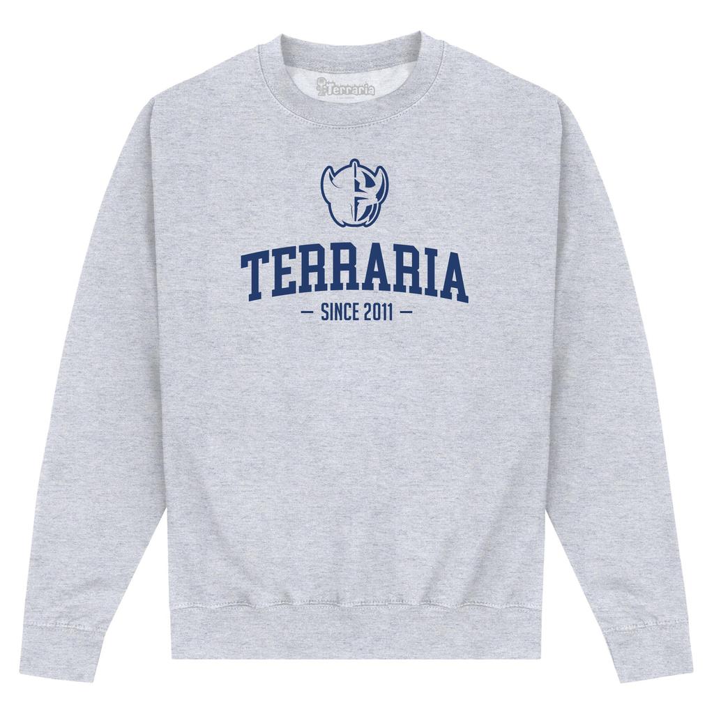 Terraria Unisex Adult Printed Sweatshirt