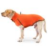 New Autumn and Winter Dog Clothes for Keeping Warm At Home. High-necked, Fleece-lined Dog Sweaters, Coats for Pets. Dog Clothing.