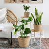 Decoration Indoor Outdoor Handicraft Flower Pots Plant Basket Plant Containers Planting Accessory