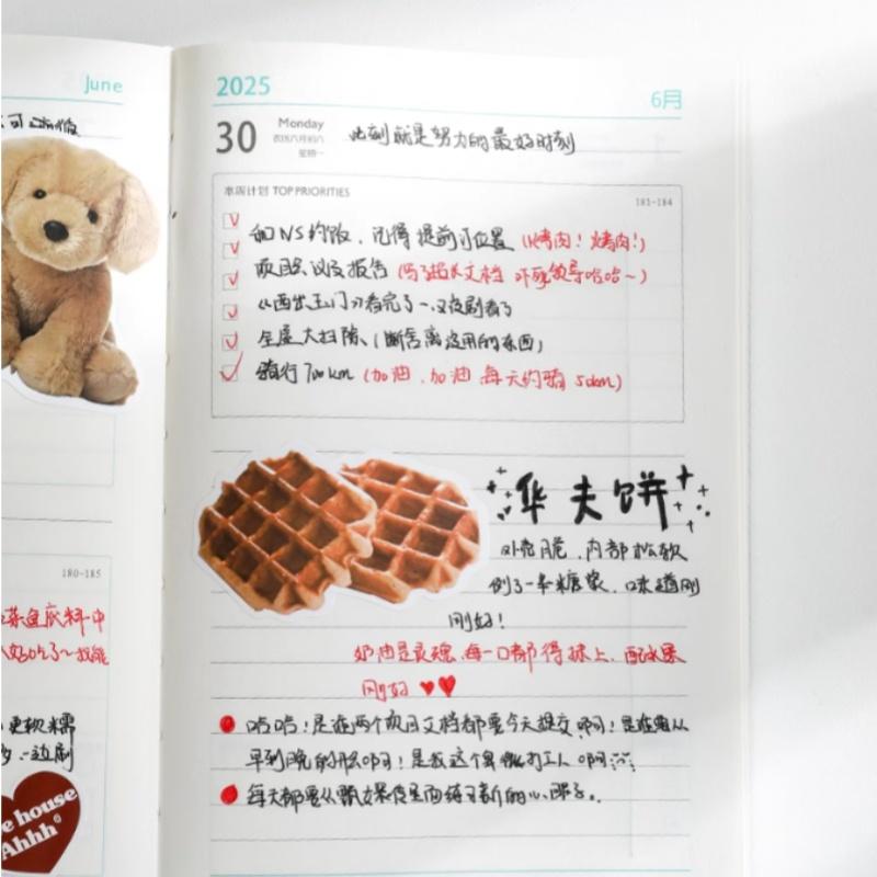 A5 Thicken 178 Sheets Daily Monthly Planner Organizer School Office 365 Days Time Management To Do List Plan Diary Journal Quality