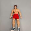 Baki Hanma 1/12 Maßstab Ghost Back 2.0 Gelenkige Actionfigur In OVP Sammlerstück Anime Manga Modell Für Anime Fans Ausstellungsdekor