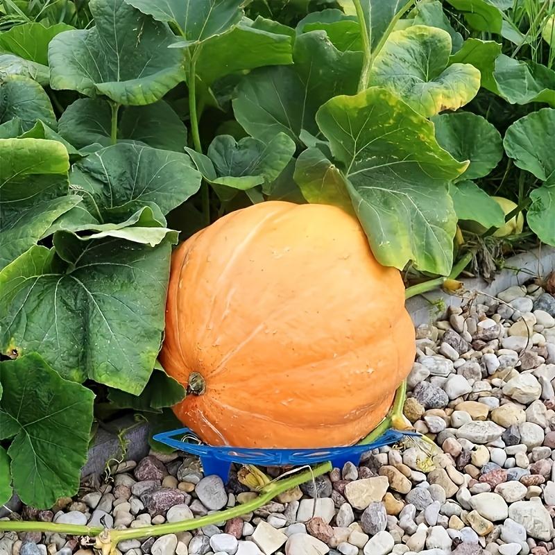 5pcs Durable Plastic Garden Tool Holders - Corrosion-Resistant Fruit Tray for Watermelon and Melon Support, No Electricity Needed
