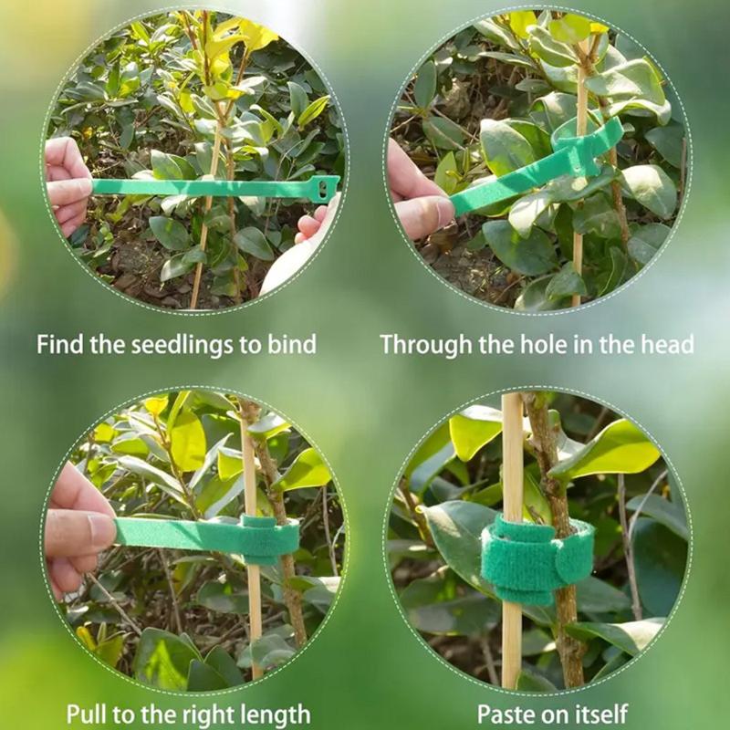 Non Slip Reusable Nylon Plant Ties 50 100 200pcs Adjustable Hook for Tomato Vine Plant Training in Backyard